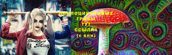 СК Переславль-Залесский
