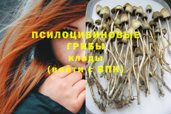 СК Переславль-Залесский