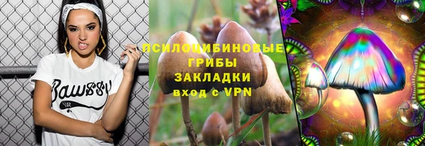 СК Переславль-Залесский
