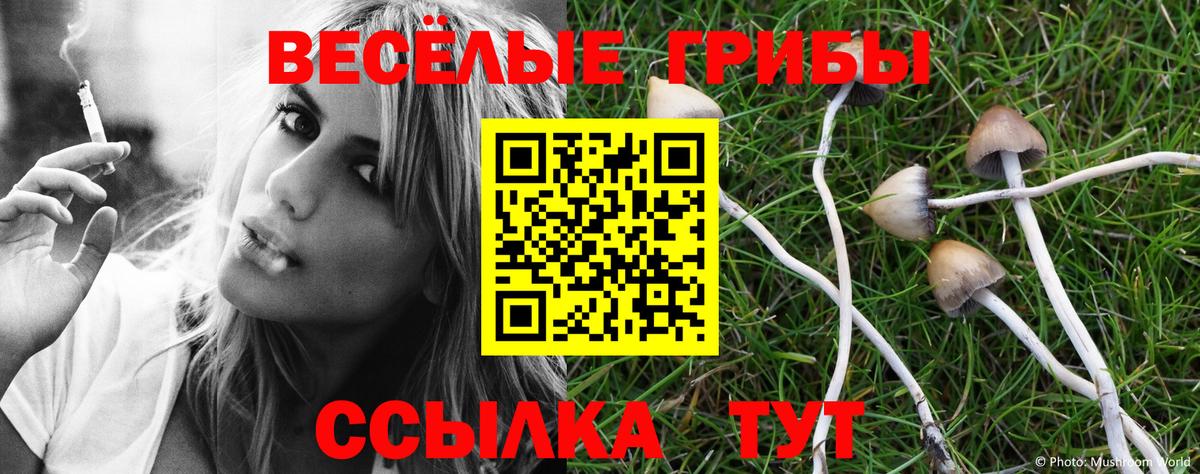 Псилоцибиновые грибы Magic Shrooms Саяногорск